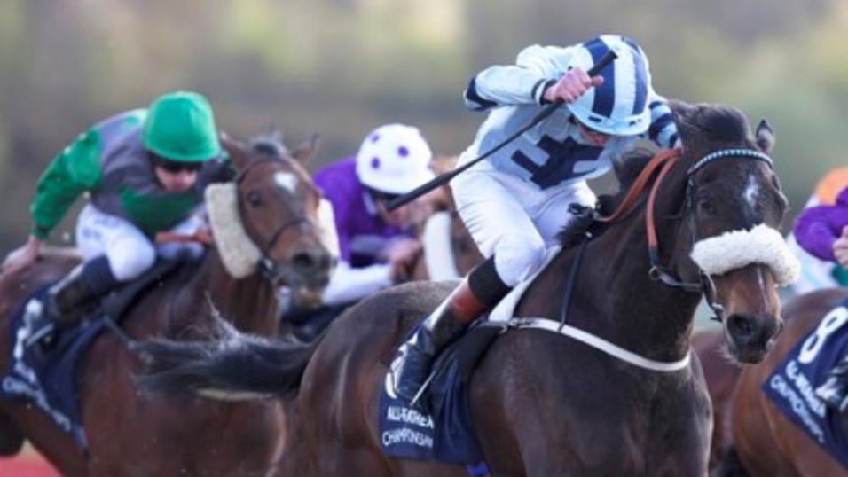 Today's best bet Amourice runs at Chelmsford